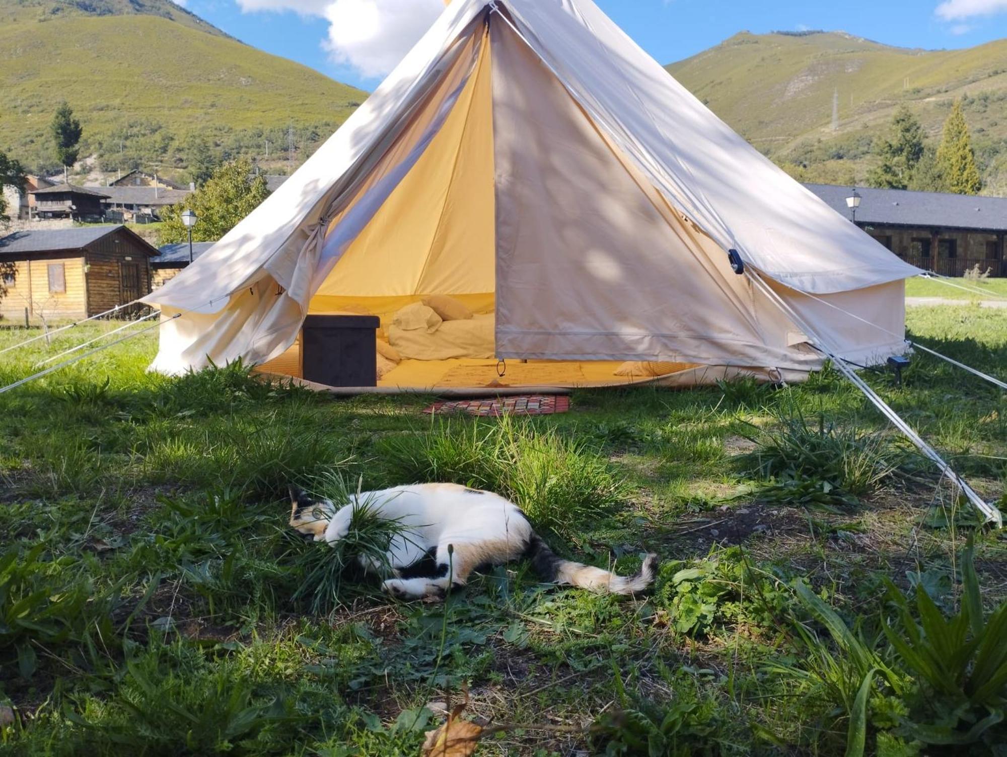 Camping La Zarapica - Palacios Del Sil エクステリア 写真